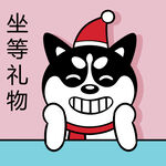 哈小齐圣诞          