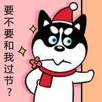哈小齐圣诞          