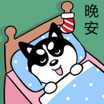 哈小齐圣诞          