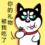 哈小齐圣诞          