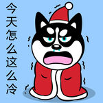 哈小齐圣诞          