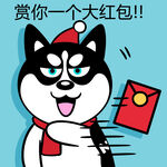 哈小齐圣诞          