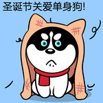 哈小齐圣诞          