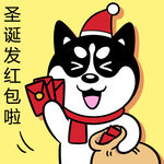 哈小齐圣诞          