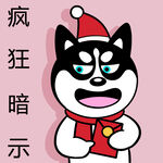 哈小齐圣诞          