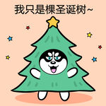哈小齐圣诞          