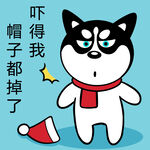 哈小齐圣诞          