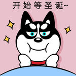 哈小齐圣诞          