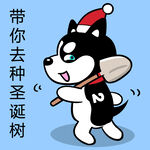 哈小齐圣诞          