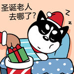 哈小齐圣诞          