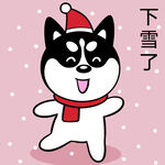 哈小齐圣诞          