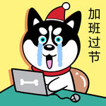 哈小齐圣诞          
