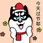 哈小齐圣诞          