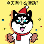 哈小齐圣诞          