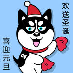 哈小齐圣诞          