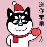 哈小齐圣诞          