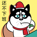 哈小齐圣诞          