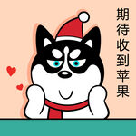 哈小齐圣诞          