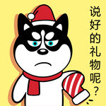 哈小齐圣诞          