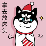 哈小齐圣诞          