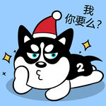 哈小齐圣诞          