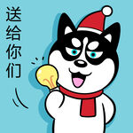 哈小齐圣诞          
