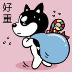 哈小齐圣诞          