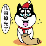 哈小齐圣诞          