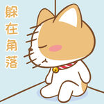 柯基布布           