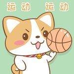 柯基布布           