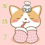 柯基布布           