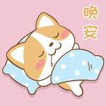 柯基布布           