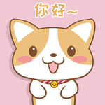 柯基布布           