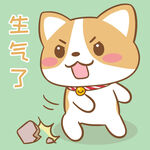 柯基布布           
