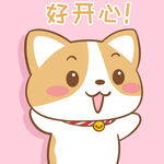 柯基布布           