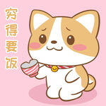 柯基布布           