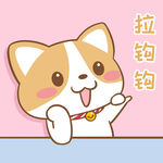 柯基布布           