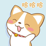 柯基布布           