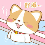柯基布布           