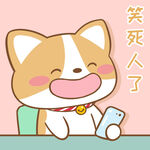柯基布布           
