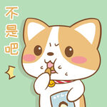 柯基布布           