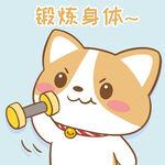 柯基布布           