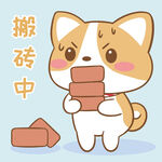 柯基布布           