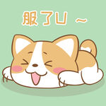 柯基布布           