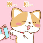 柯基布布           