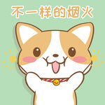 柯基布布           