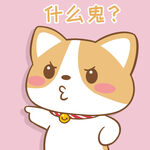 柯基布布           