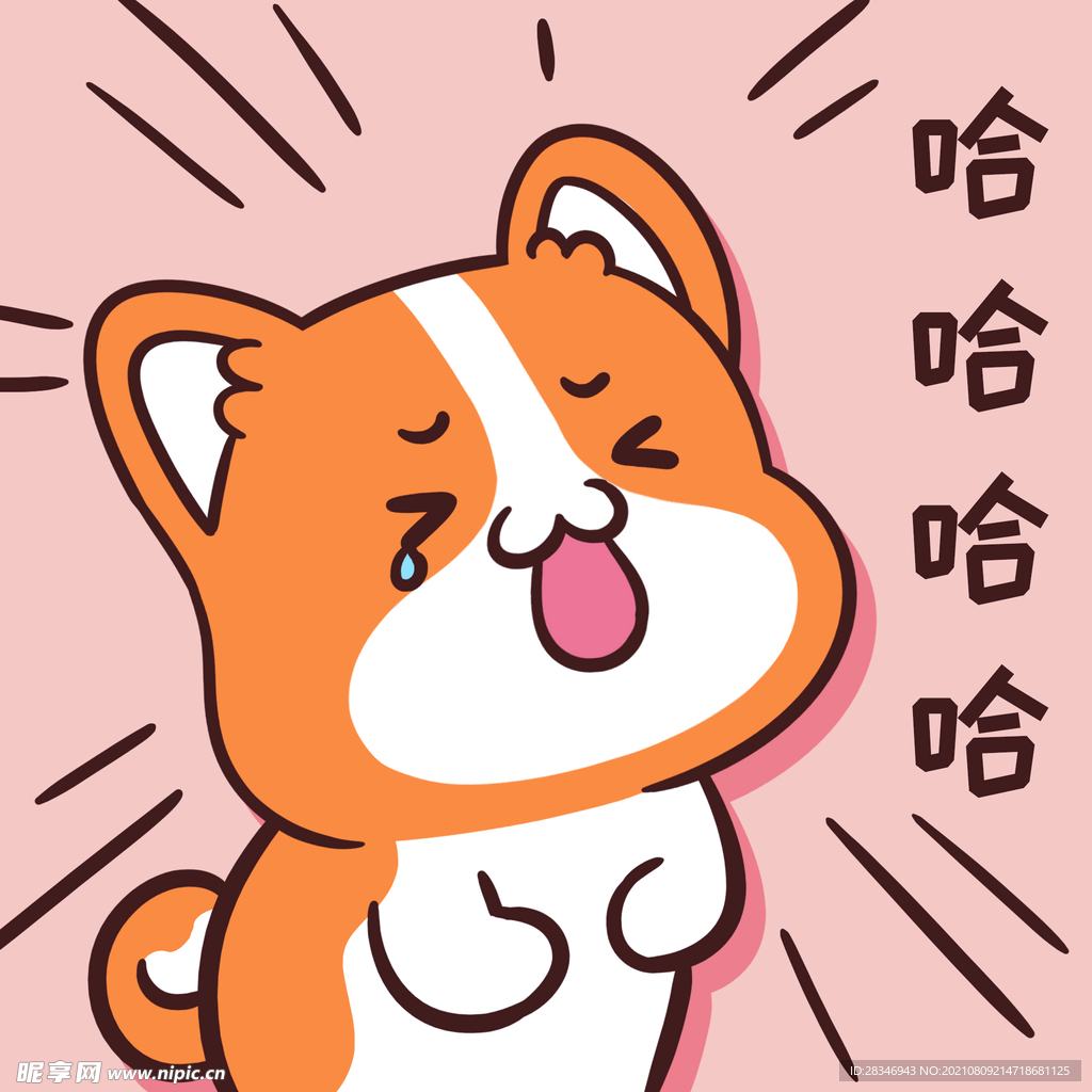 柯基小甜甜          