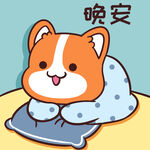 柯基小甜甜          