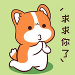 柯基小甜甜          